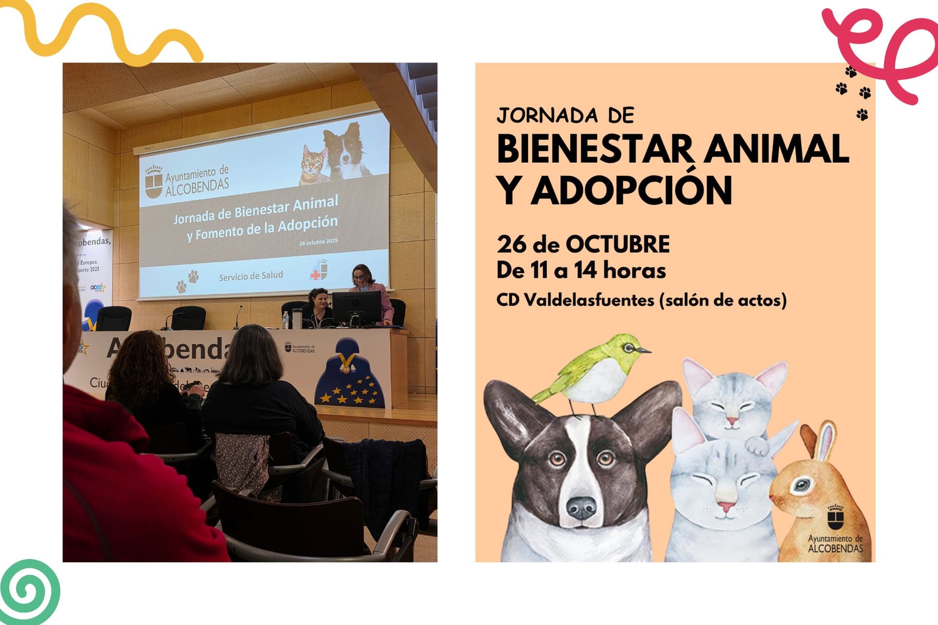 Imagen Jornada de Bienestar Animal y Adopción Ayuntamiento Alcobendas