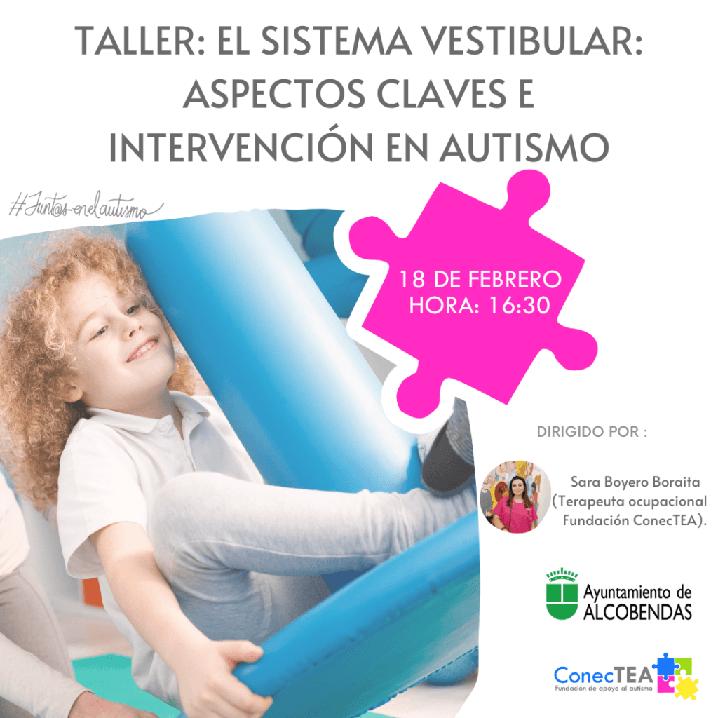 Cómo influye el sistema vestibular en las personas con autismo - Embedded Image 3