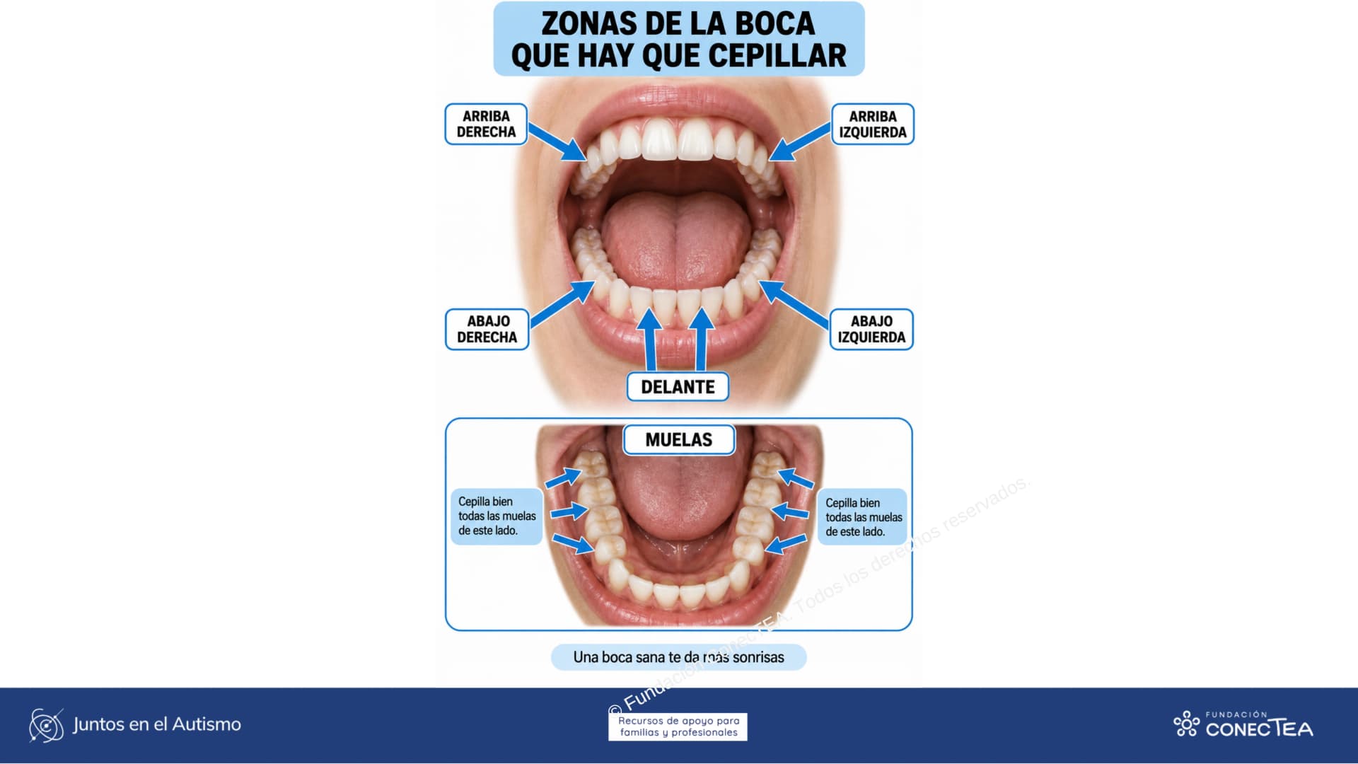 Cepillado de Dientes2