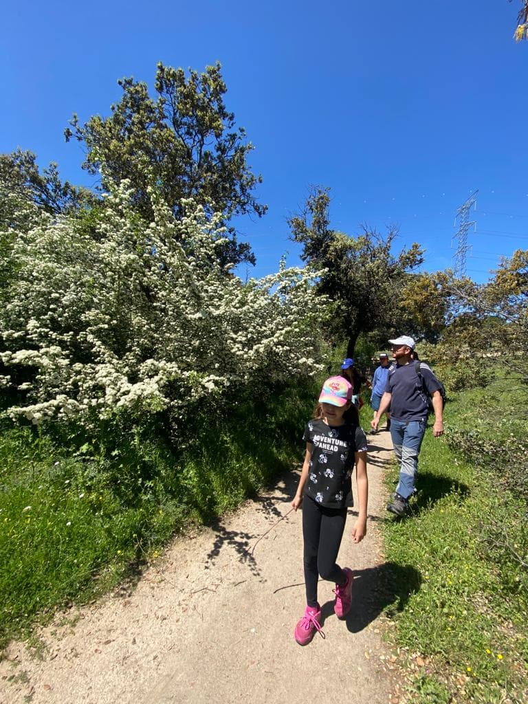 Érase una vez una familia en el autismo - Embedded Image 5