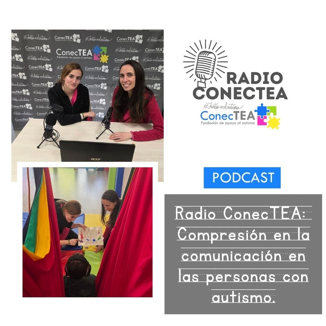 Comprensión del lenguaje en el autismo