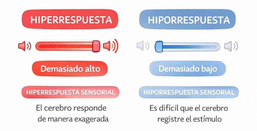2 - Modulación sensorial
