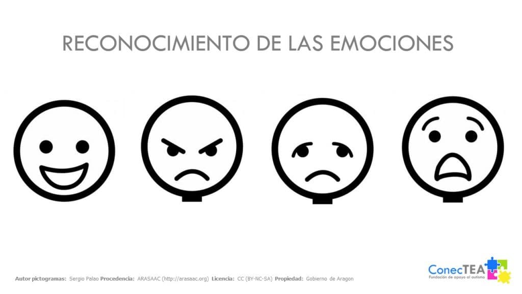 Sistemas alternativos y aumentativos de comunicación (S.A.A.C.) - Embedded Image 5