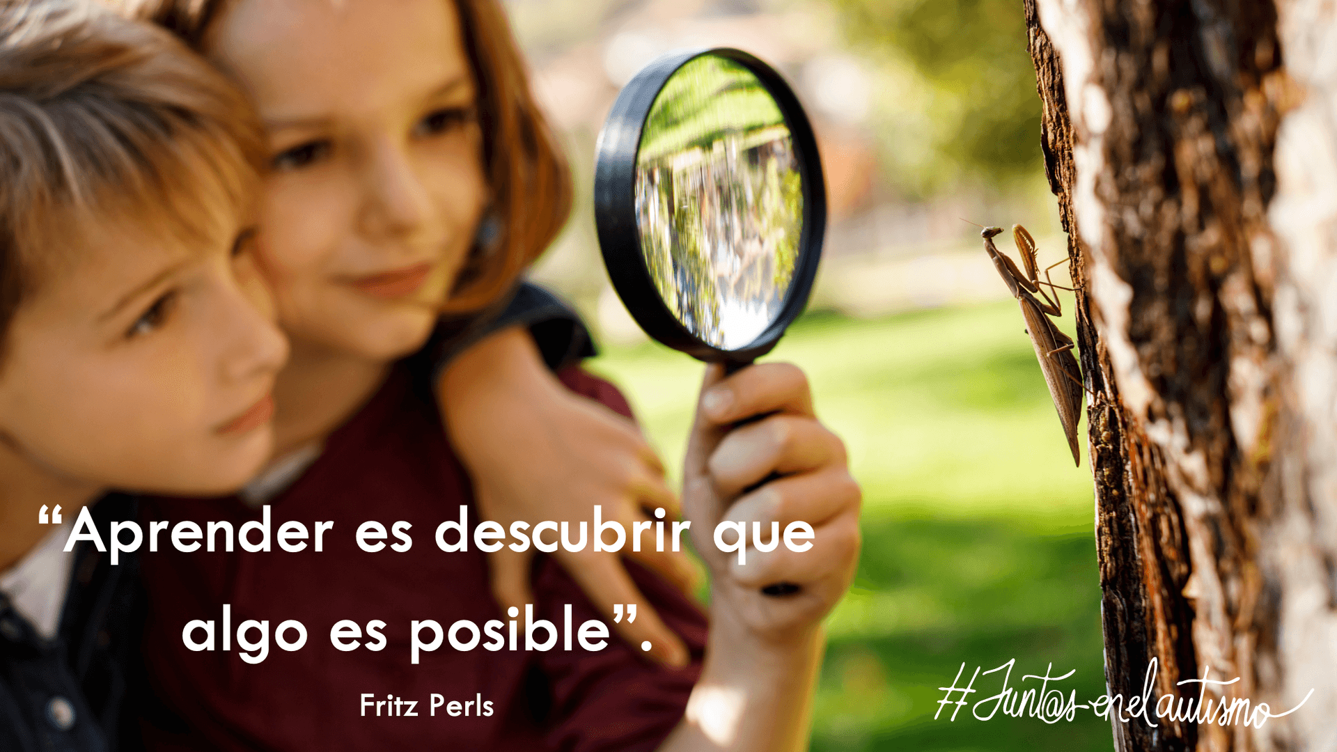 ¿Tendré un alumno con autismo en clase el próximo año? - Hero Image