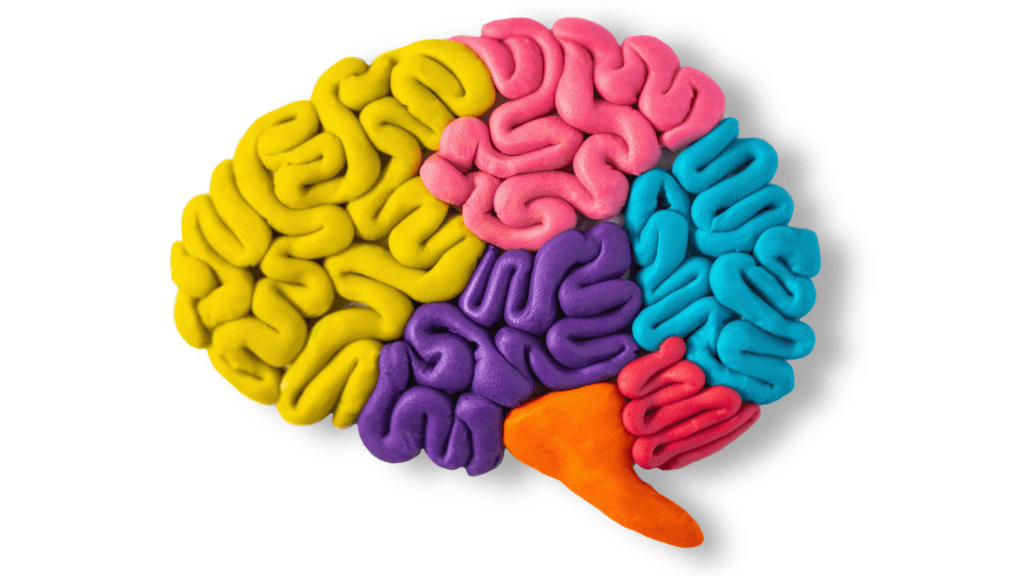 La comunicación aumentativa/ alternativa en el autismo: Implementando herramientas y estrategias atendiendo a las necesidades de cada persona. - Embedded Image 2