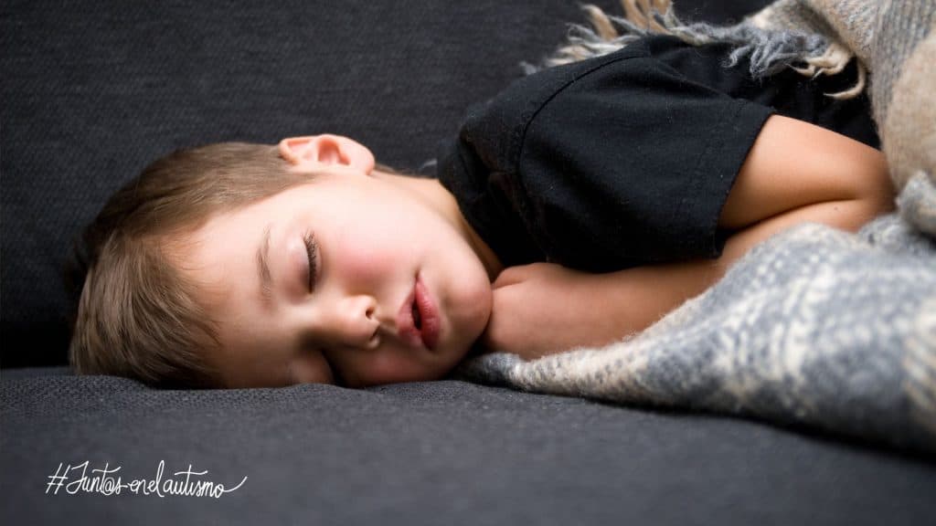 El sueño en el autismo - Embedded Image 2