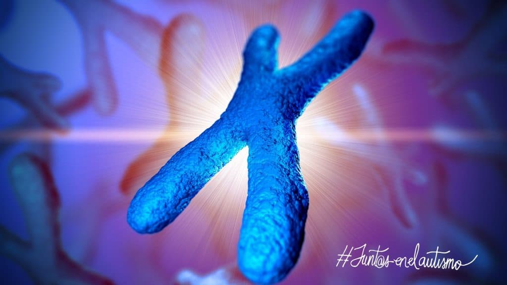 Genética y autismo: una relación inevitable - Embedded Image 3