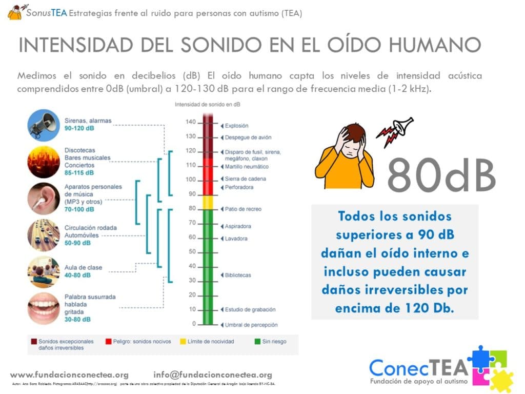 Hipersensibilidad auditiva en el autismo - Embedded Image 2