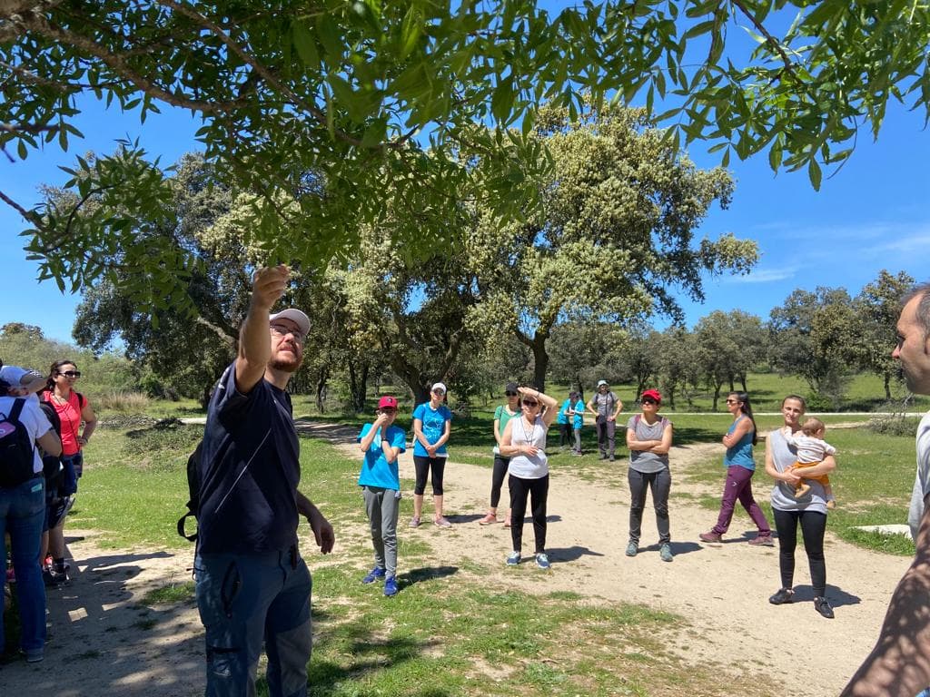 Érase una vez una familia en el autismo - Embedded Image 9