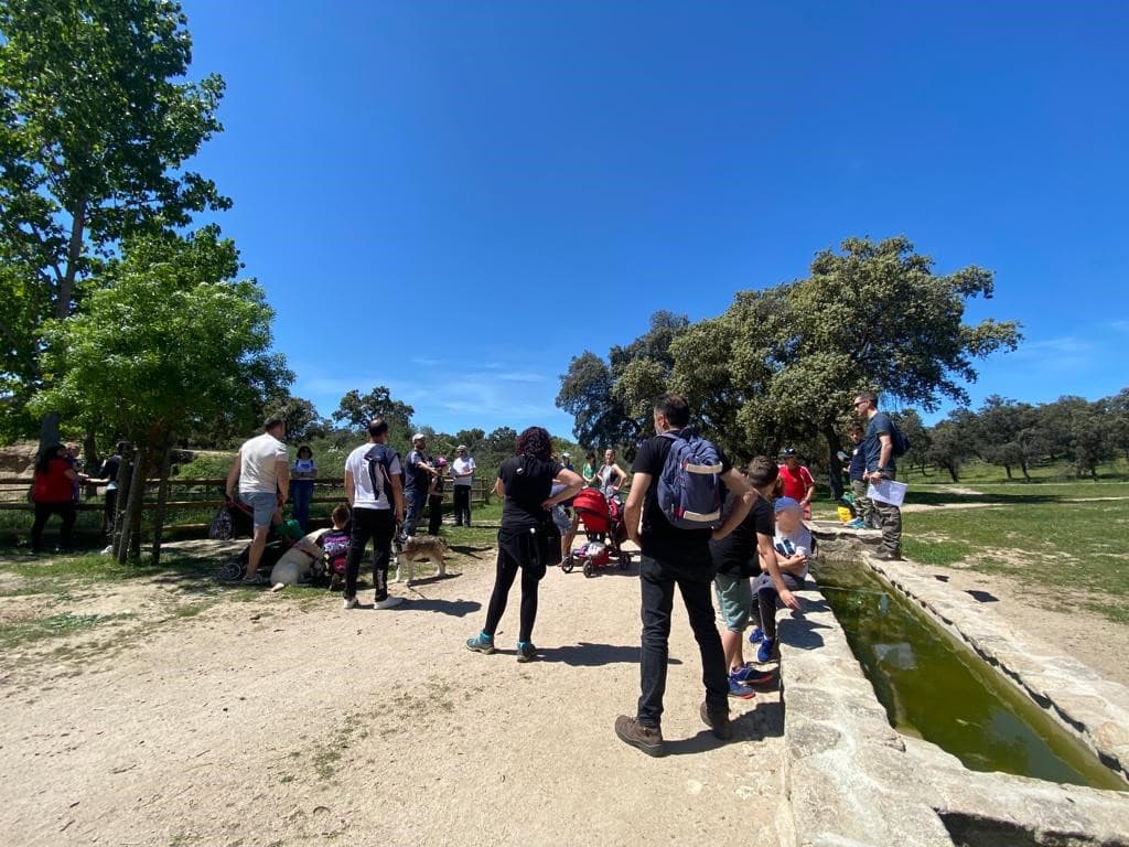 Érase una vez una familia en el autismo - Embedded Image 8