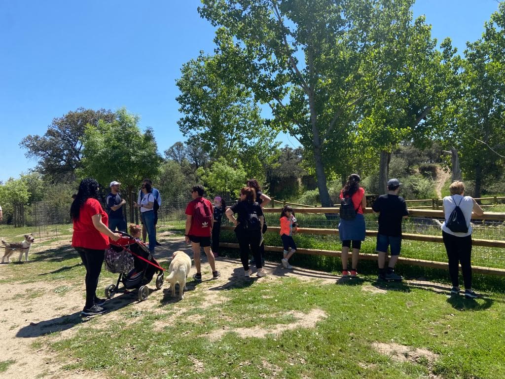 Érase una vez una familia en el autismo - Embedded Image 7