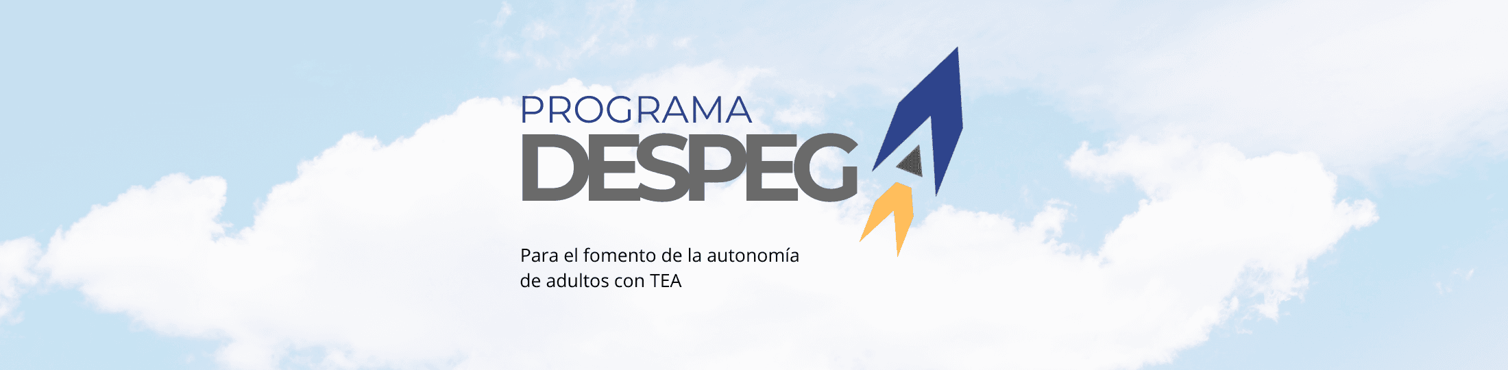 Programa Despega