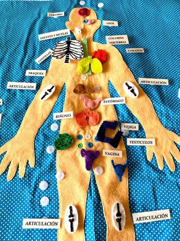 El libro sensorial de Fundación ConecTEA - Embedded Image 1