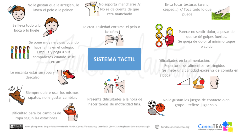 ¿Son más sensibles unos niños con autismo que otros a la sensación del tacto? - Embedded Image 2