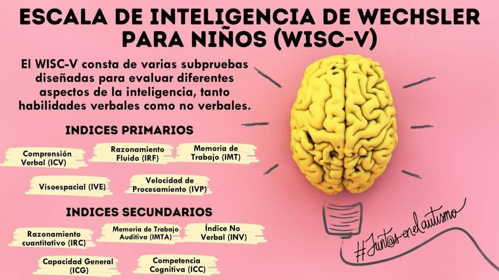 Evaluar la inteligencia en el TEA - Embedded Image 1