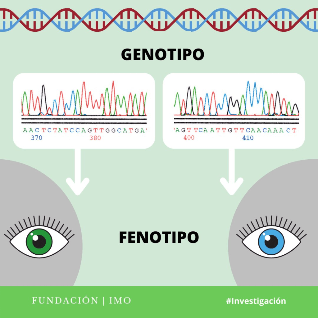 Genética y autismo: una relación inevitable - Embedded Image 1